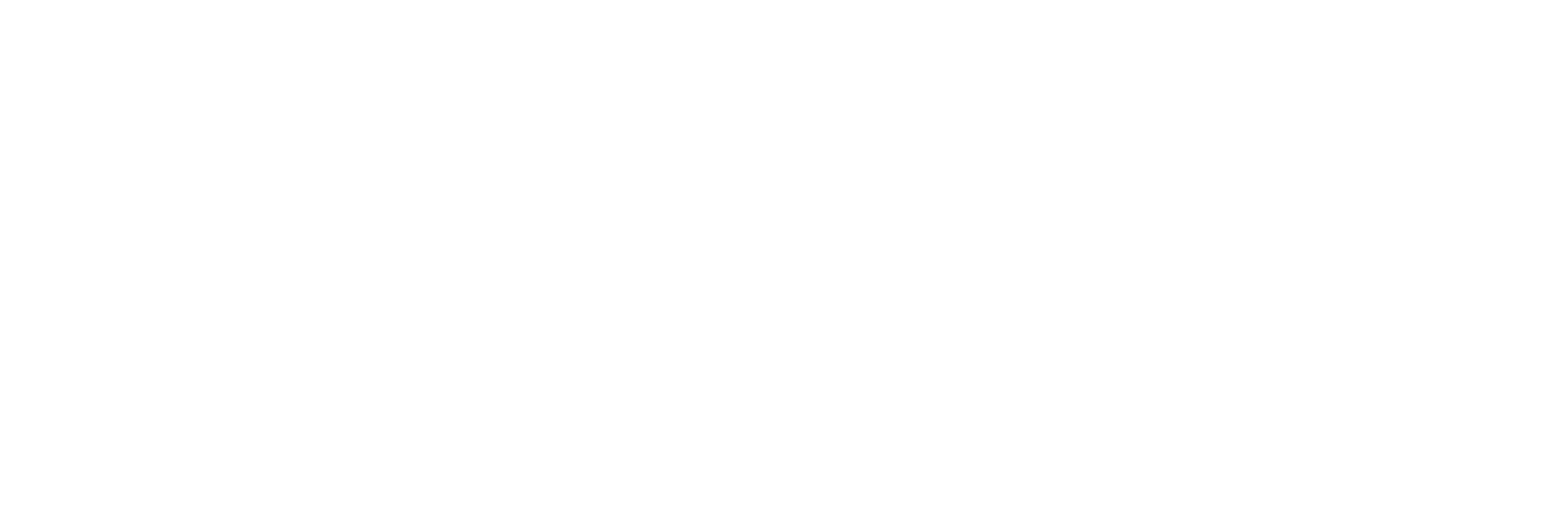 AoA_Resident_Drs_logo_white.png AoA_Resident_Drs_logo_white.png